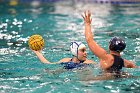 WWPolo @ CC  Wheaton College Women’s Water Polo at Connecticut College. - Photo By: KEITH NORDSTROM : Wheaton, water polo